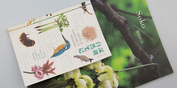 有靈魂的宣傳畫冊就應該這樣設計！-和印愛歐圖文